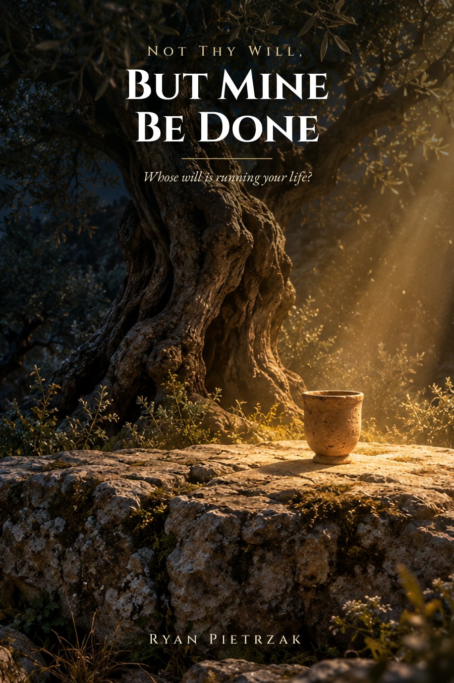 Not Thy Will, But Mine Be Done book cover